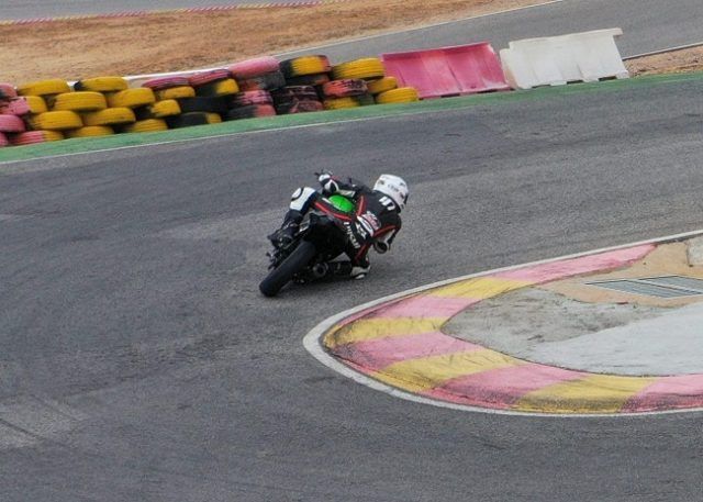 cup DANI CIR.07