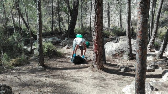 LIMPIEZA MONTE