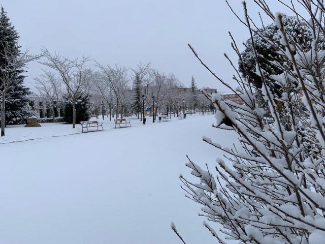 FOTO NIEVE