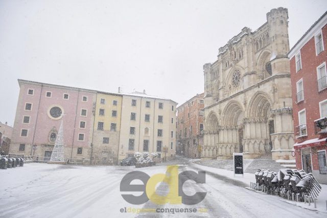Nieve 11-5