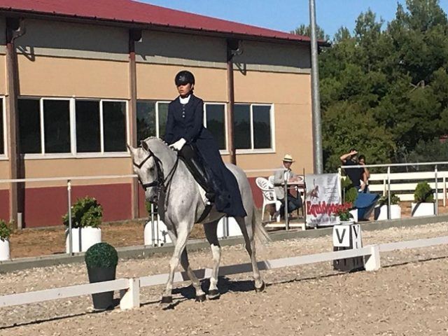 clara doma clasica Centenario