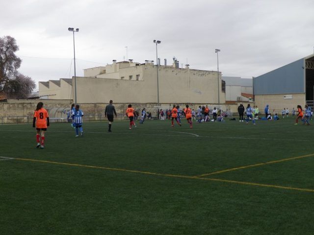 IMGP5049