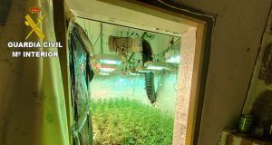 La Guardia Civil ha desmantelado tres plantaciones indoor de marihuana en la provincia de Cuenca