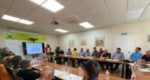 Cooperativas Agro-alimentarias prevé una cosecha de aceituna en Castilla-La Mancha un 25% inferior a la del pasado año