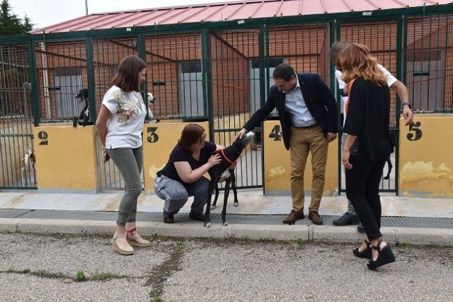 ALBERGUE Y ASOCIACIÓN VIVIR