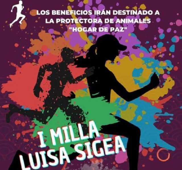 carrera solidaria IES LUISA SIGEA