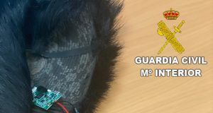 La Guardia Civil denuncia a una persona usando medios telemáticos para la obtención del permiso de conducir