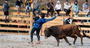 Triunfo del Festejo Popular en Cueva del Hierro
