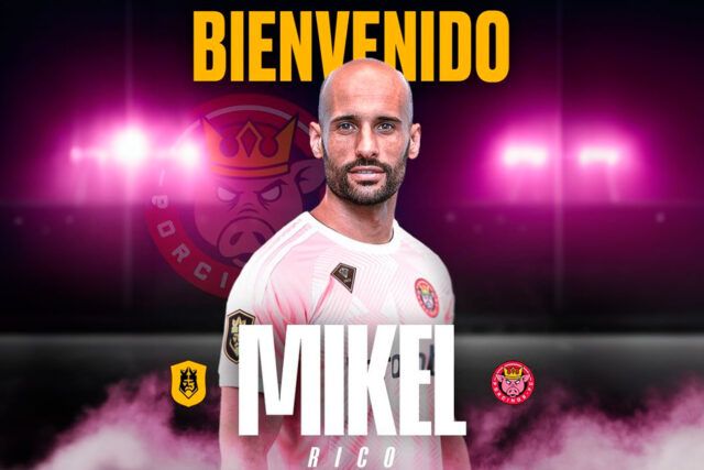 Mikel Rico Porcinos