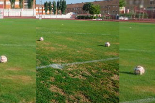 cesped-tarancon