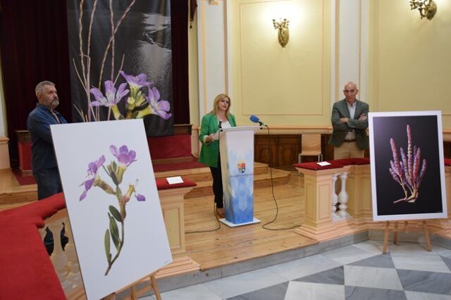 Exposición 7