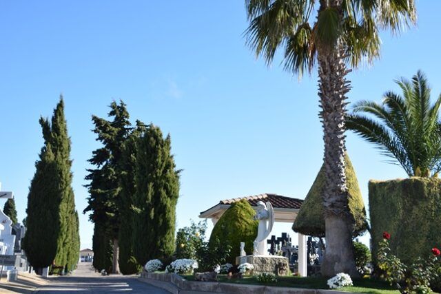 CEMENTERIO (2)
