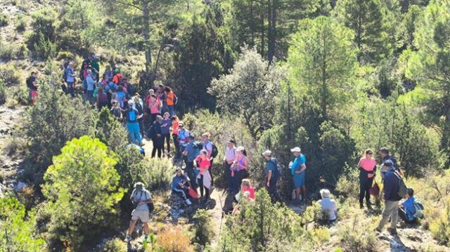 Circuito 05Nov24 (4)