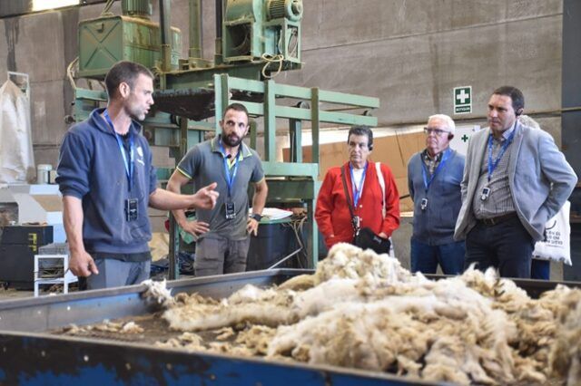 VISITA WOOLDREAMER (23)