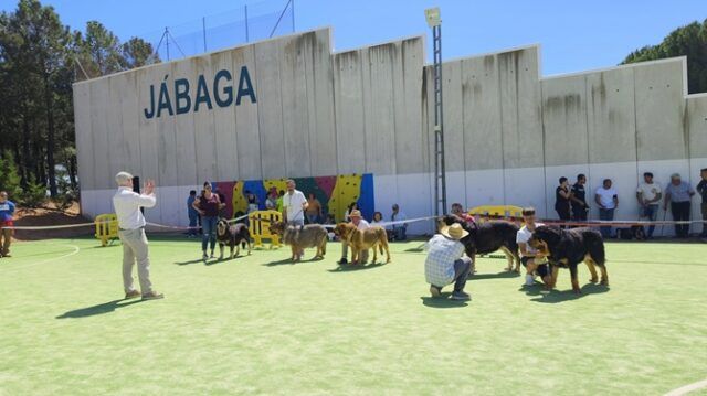 IMG_20240413_140146