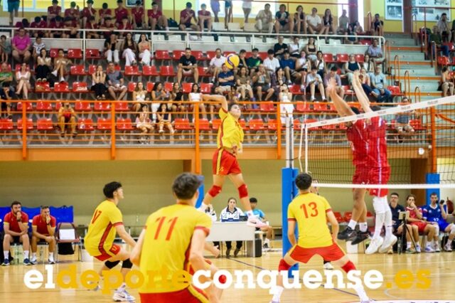 Voleibol España-Francia