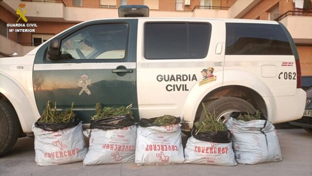 Guardia civil