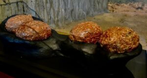 El Gobierno regional dota al MUPA de una nueva vitrina con huevos de titanosaurios descubiertos en el yacimiento cretácico de Poyos