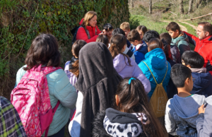 El Gobierno regional invita a los centros educativos de Cuenca a participar en el Programa de Educación Ambiental 2026-2027