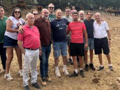 San Mateo ya tiene vacas: las reses elegidas en Jábaga reciben el visto bueno para las fiestas de Cuenca